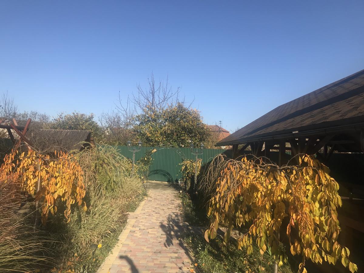 Міні Готель Вілла Вікторія Beregovo Exterior foto