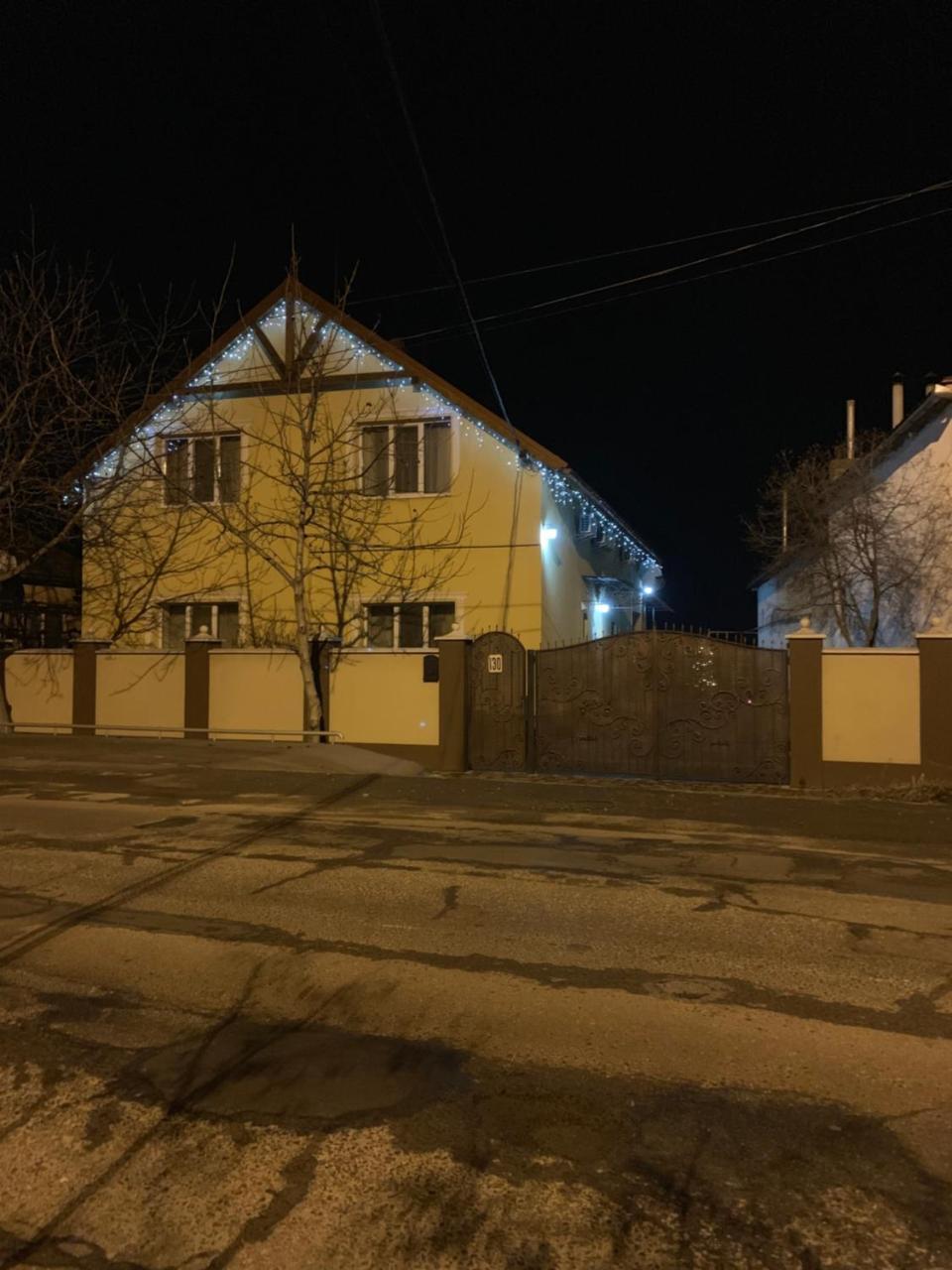 Міні Готель Вілла Вікторія Beregovo Exterior foto